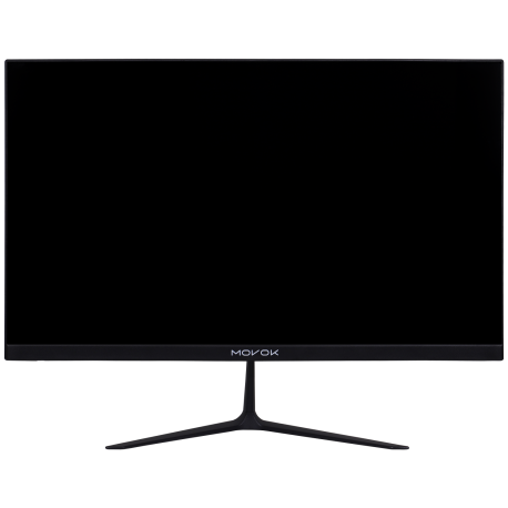Moniteur 25"
